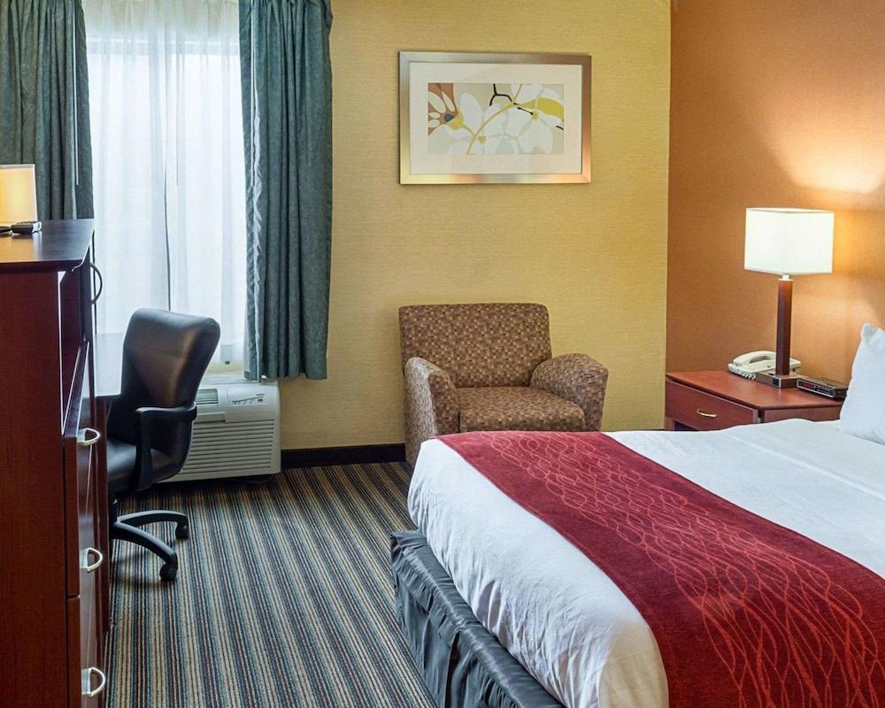 Comfort Inn Petersburg Near Fort Gregg-Adams Exterior photo